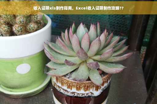 收入证明xls制作指南，Excel收入证明制作攻略??