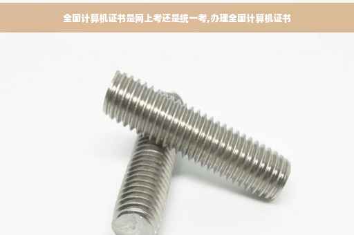 全国计算机证书是网上考还是统一考,办理全国计算机证书