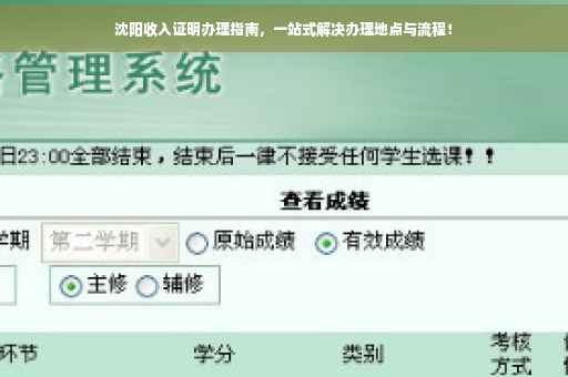 沈阳收入证明办理指南，一站式解决办理地点与流程！
