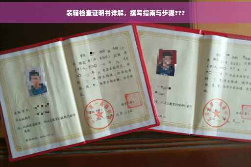 装箱检查证明书详解，撰写指南与步骤???
