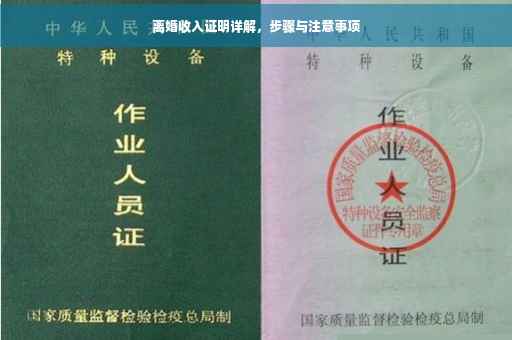 离婚收入证明详解，步骤与注意事项