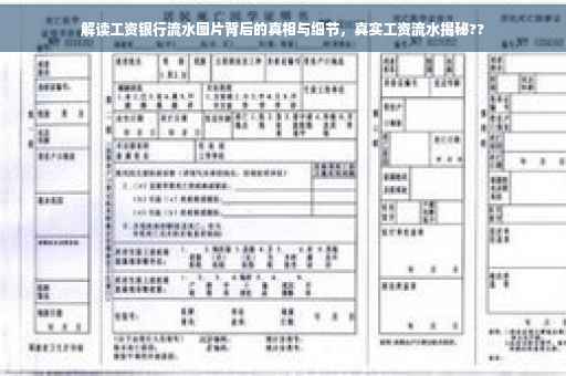 解读工资银行流水图片背后的真相与细节，真实工资流水揭秘??
