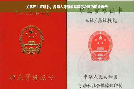 关系死亡证明书，探索人际裂痕与复苏之路的图片启示