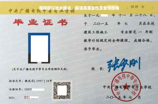 揭秘银行流水网点，解读其重要性及查询指南