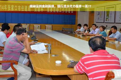 揭秘深圳金融脉络，银行流水代办服务一览??