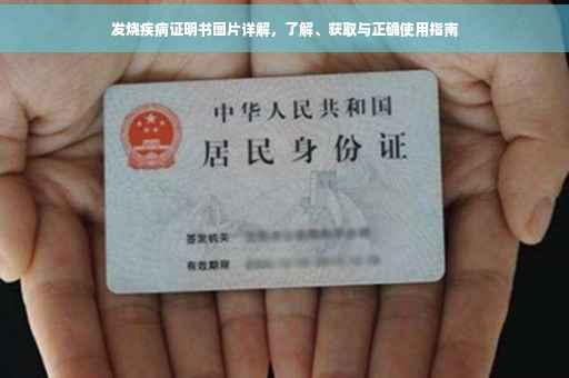 发烧疾病证明书图片详解，了解、获取与正确使用指南
