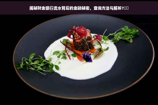 揭秘财金银行流水背后的金融秘密，查询方法与解析?⚡️