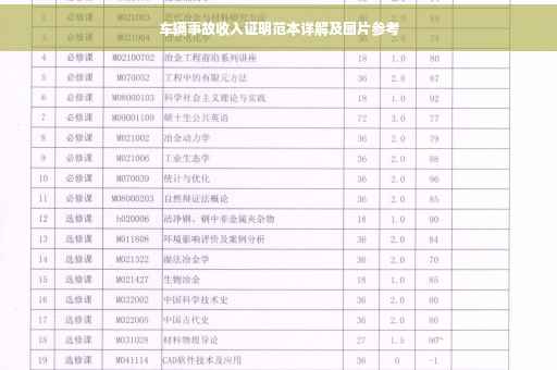 车辆事故收入证明范本详解及图片参考