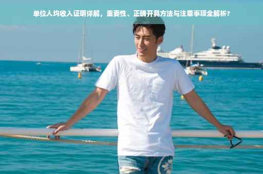 单位人均收入证明详解，重要性、正确开具方法与注意事项全解析?