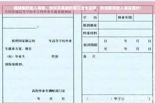揭秘兼职收入真相，如何开具兼职银行流水证明，助你展现收入真实面纱！