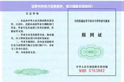 证明书的效力深度解析，效力强度究竟如何？