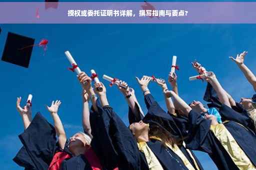 授权或委托证明书详解，撰写指南与要点?