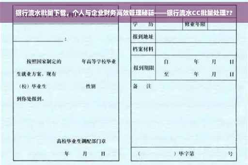 银行流水批量下载，个人与企业财务高效管理秘籍——银行流水CC批量处理??