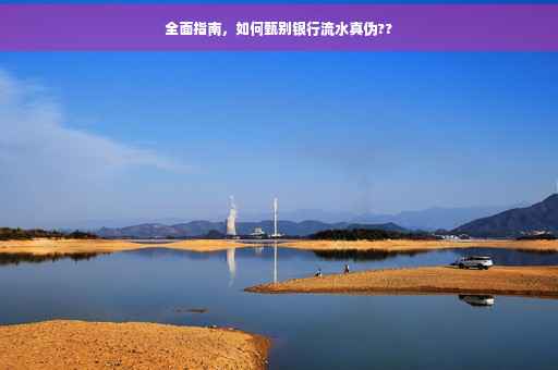 全面指南，如何甄别银行流水真伪??