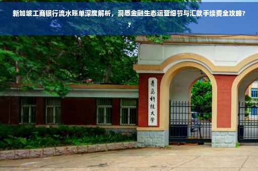 新加坡工商银行流水账单深度解析，洞悉金融生态运营细节与汇款手续费全攻略??