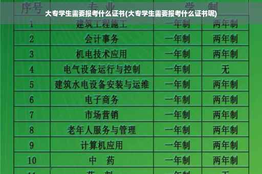 大专学生需要报考什么证书(大专学生需要报考什么证书呢)