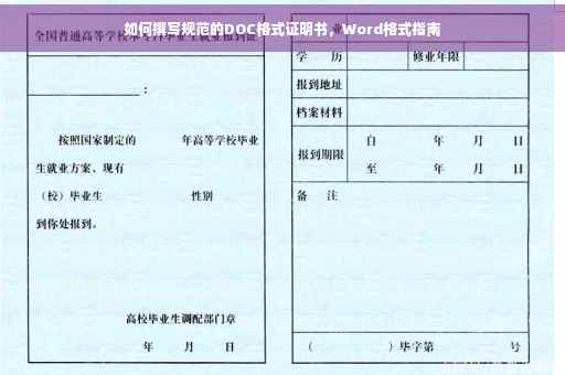 如何撰写规范的DOC格式证明书，Word格式指南