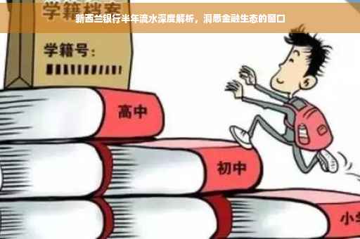 新西兰银行半年流水深度解析，洞悉金融生态的窗口