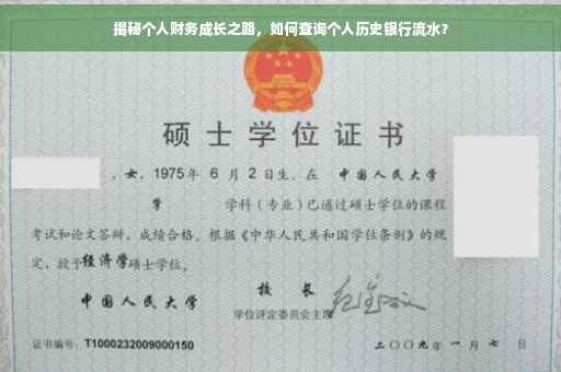 揭秘个人财务成长之路，如何查询个人历史银行流水？