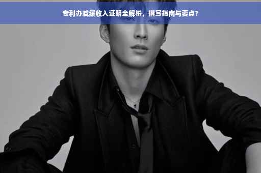 专利办减缓收入证明全解析，撰写指南与要点?