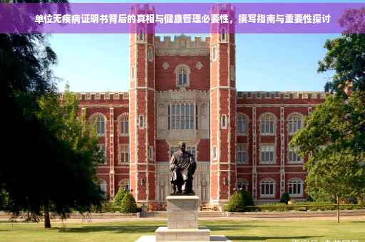单位无疾病证明书背后的真相与健康管理必要性，撰写指南与重要性探讨
