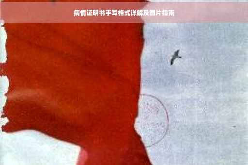 病情证明书手写格式详解及图片指南