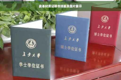 皮革材质证明书详解及图片展示