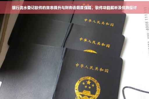 银行流水登记软件的效率提升与财务透明度保障，软件功能解析及优势探讨