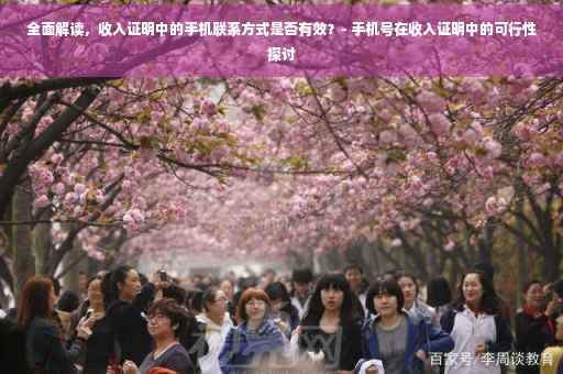 全面解读，收入证明中的手机联系方式是否有效？- 手机号在收入证明中的可行性探讨