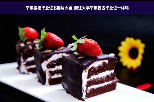 宁波技校毕业证书图片大全,浙江大学宁波校区毕业证一样吗