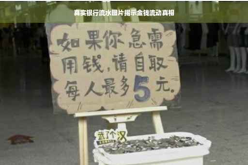 真实银行流水图片揭示金钱流动真相