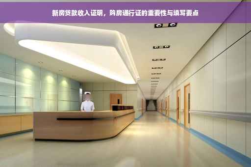 新房贷款收入证明，购房通行证的重要性与填写要点