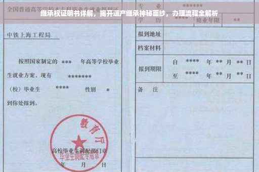 继承权证明书详解，揭开遗产继承神秘面纱，办理流程全解析