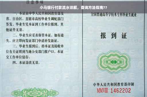 小马银行付款流水详解，查询方法指南??
