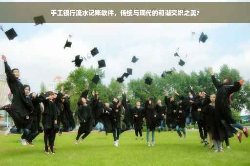 手工银行流水记账软件，传统与现代的和谐交织之美?