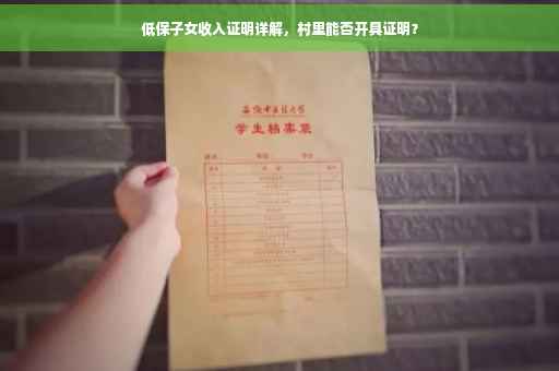 低保子女收入证明详解，村里能否开具证明？