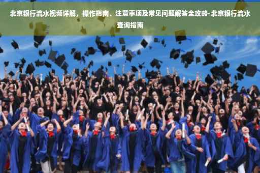 北京银行流水视频详解，操作指南、注意事项及常见问题解答全攻略-北京银行流水查询指南
