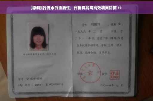 揭秘银行流水的重要性，作用详解与高效利用指南 ??