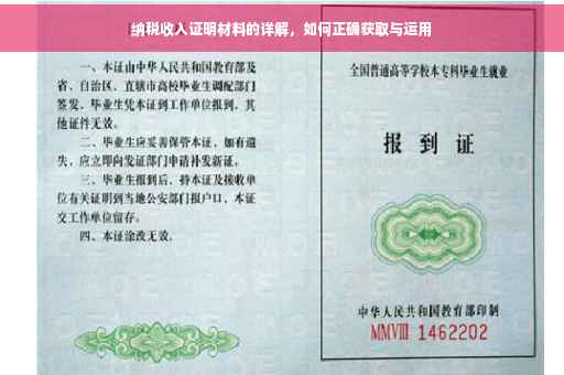 纳税收入证明材料的详解，如何正确获取与运用