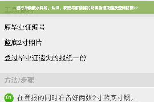 银行单条流水详解，认识、获取与解读你的财务轨迹攻略及查询指南??