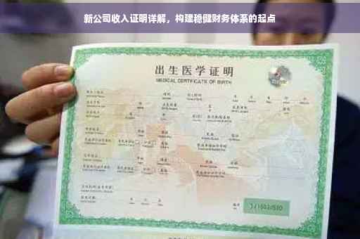 新公司收入证明详解，构建稳健财务体系的起点