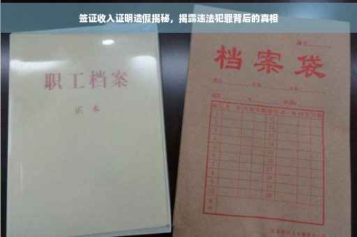 签证收入证明造假揭秘，揭露违法犯罪背后的真相