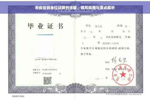 看病报销单位证明书详解，撰写指南与要点解析