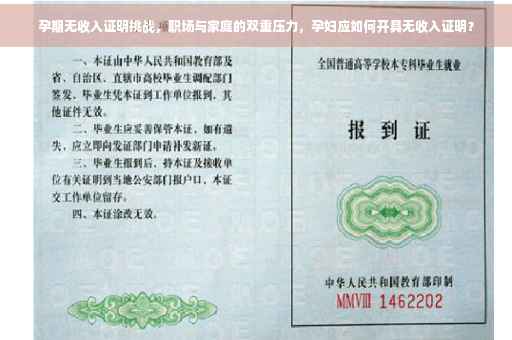 孕期无收入证明挑战，职场与家庭的双重压力，孕妇应如何开具无收入证明？