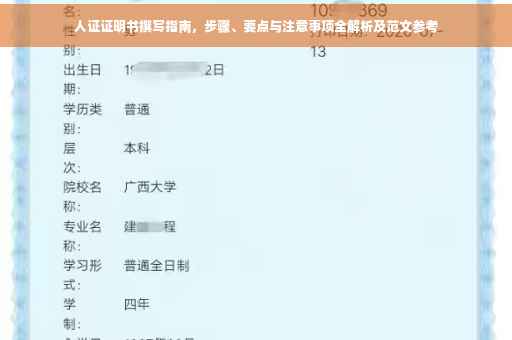 人证证明书撰写指南，步骤、要点与注意事项全解析及范文参考