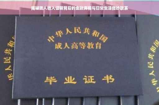 揭秘贷人收入证明背后的金融真相与日常生活微妙联系