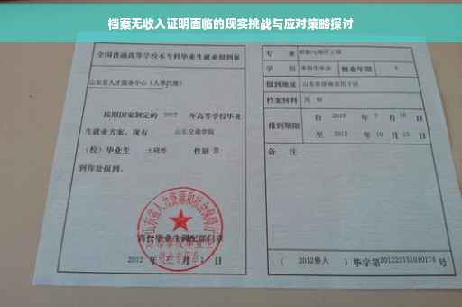 档案无收入证明面临的现实挑战与应对策略探讨