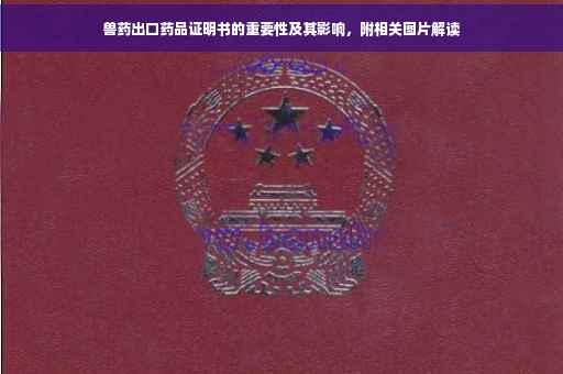 兽药出口药品证明书的重要性及其影响，附相关图片解读