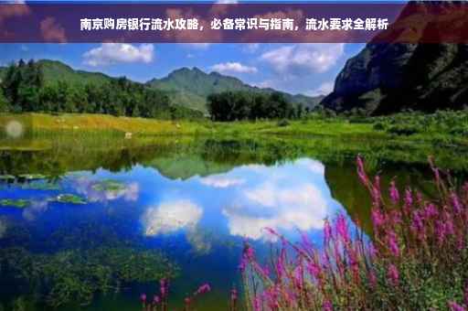 南京购房银行流水攻略，必备常识与指南，流水要求全解析