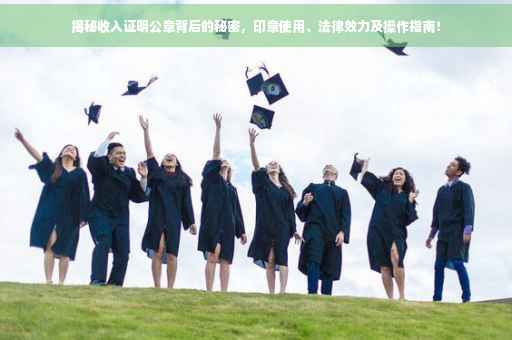 揭秘收入证明公章背后的秘密，印章使用、法律效力及操作指南！